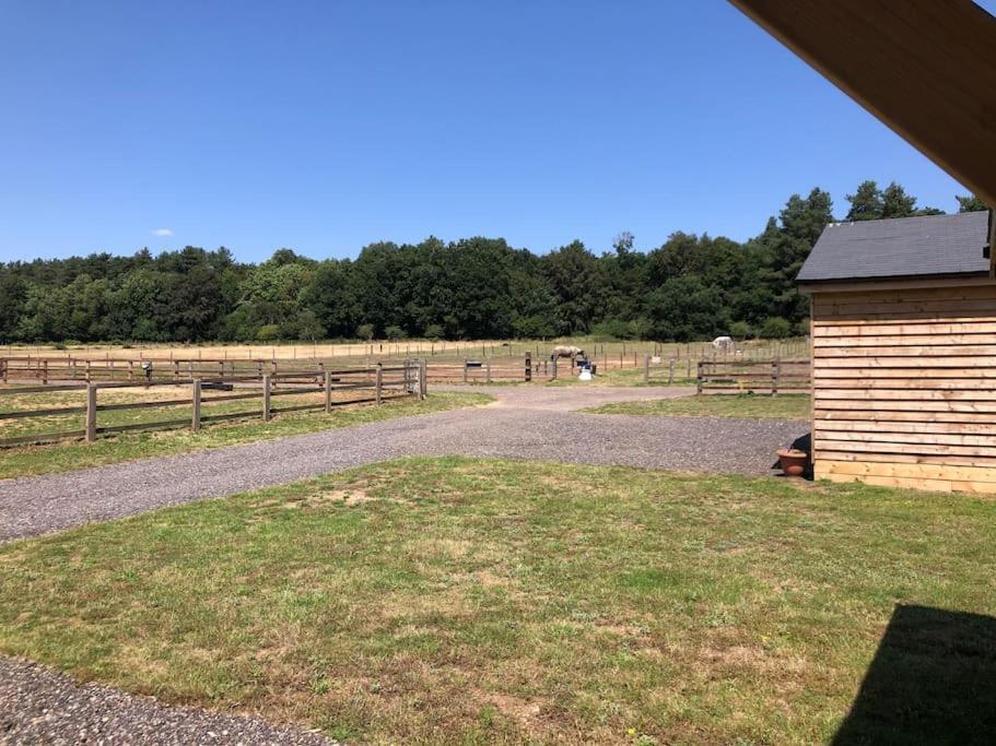 Nightjar Lodge - Adults Only Lackford Exterior foto